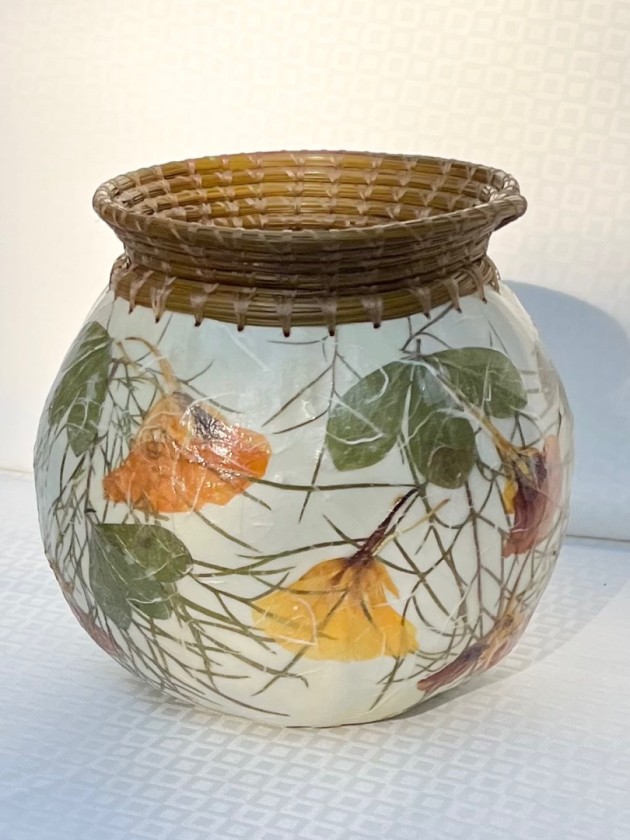 Nasturtium Botanical