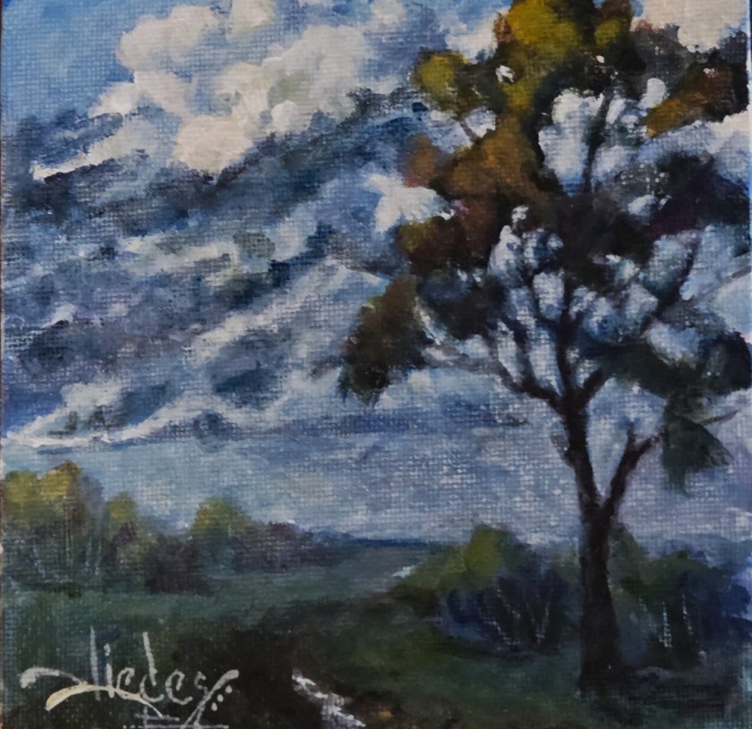 Tall Trees 42