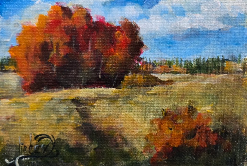 Landscape 48