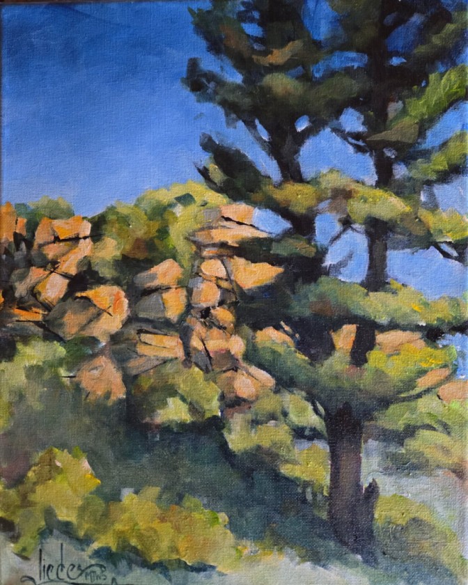 Landscape 50