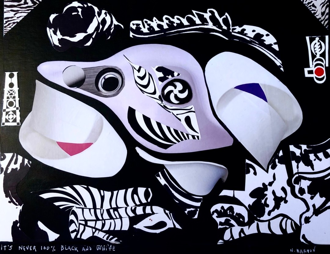 It's Never 100% Black and White - artwork by Naomi Hartov:  