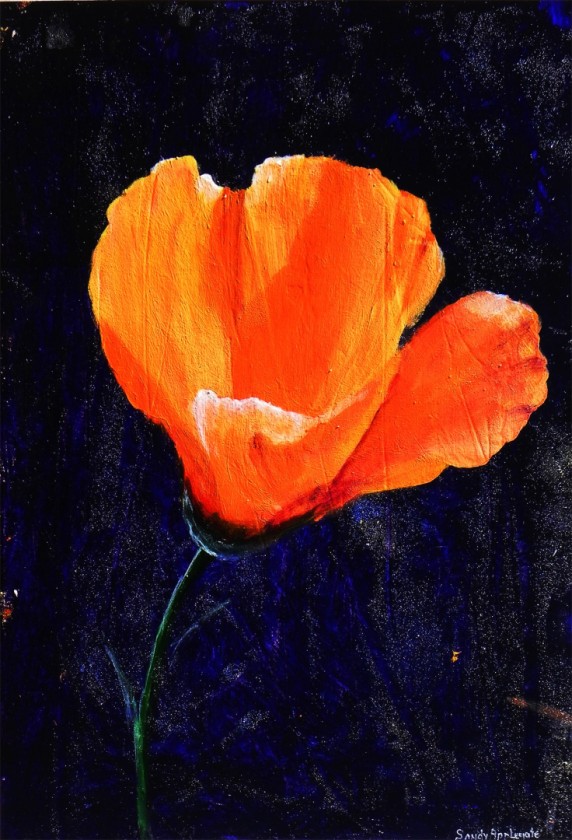 Poppy On Purple