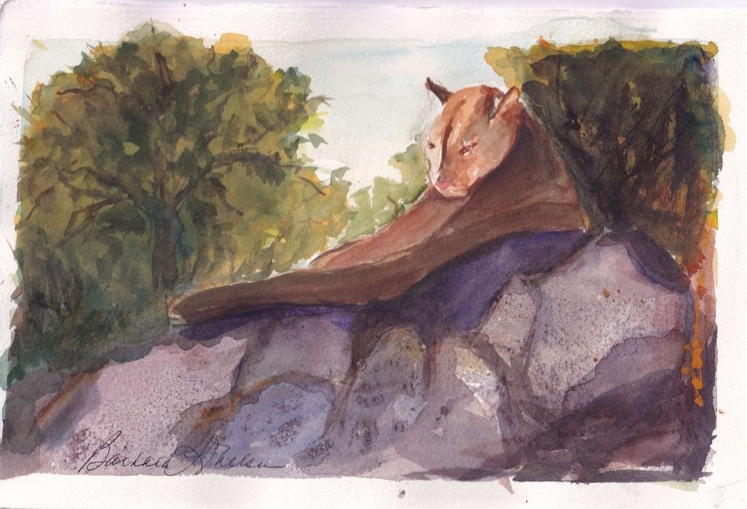 Untitled - artwork by Barbara Nelson :  