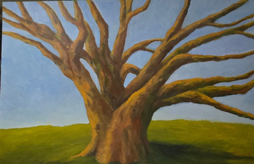 Grande Ole' Tree