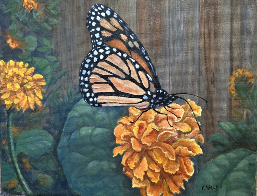 Butterfly Garden