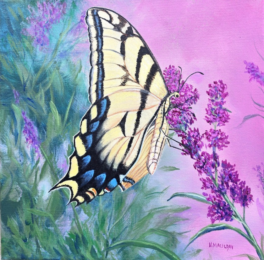 Butterfly Bush Visitor