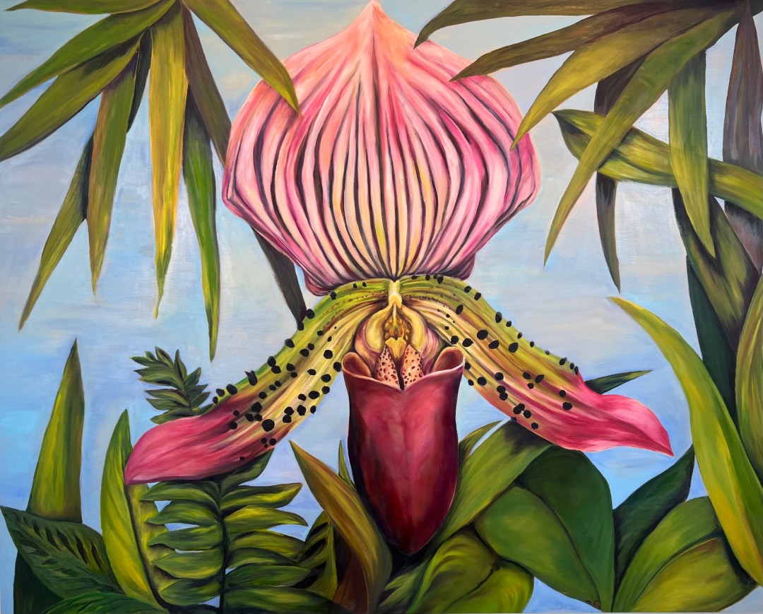 Slipper Orchid - artwork by Rebecca Bissi:  