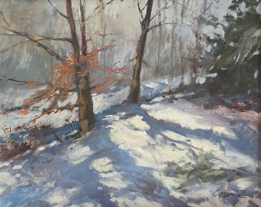 Winters Woods