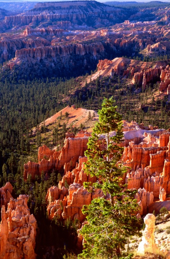 Bryce Canyon II