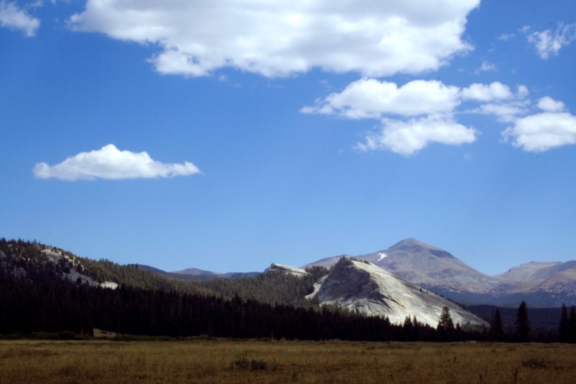Tuolumne Meadows I