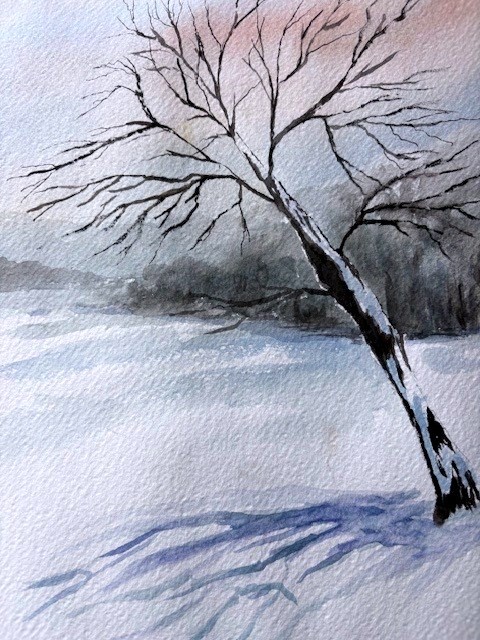 Lone tree in the fields