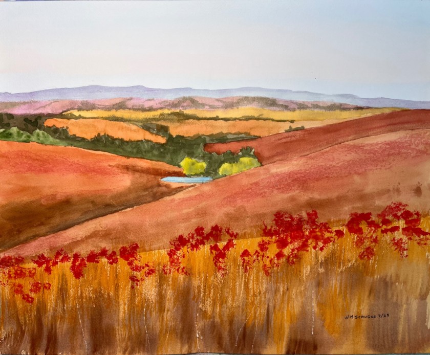 Western Kansas hills