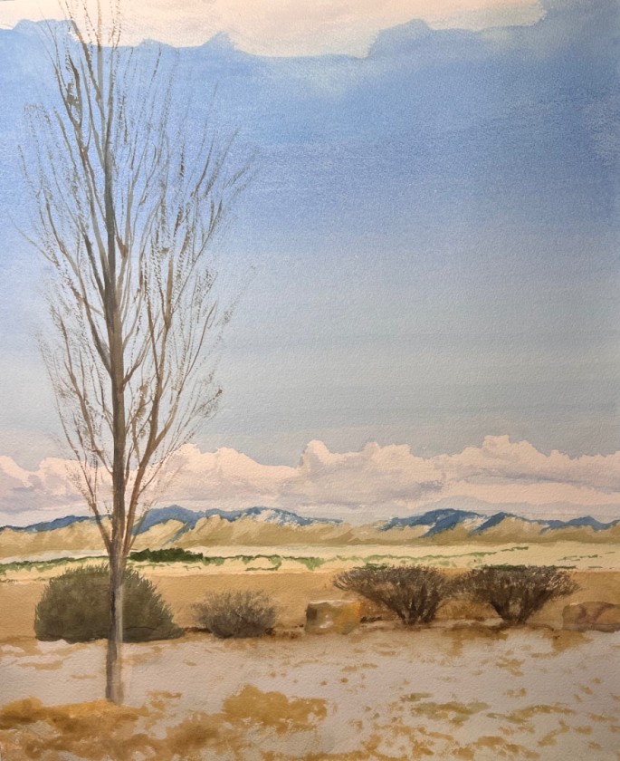 Santa Fe backyard in winter