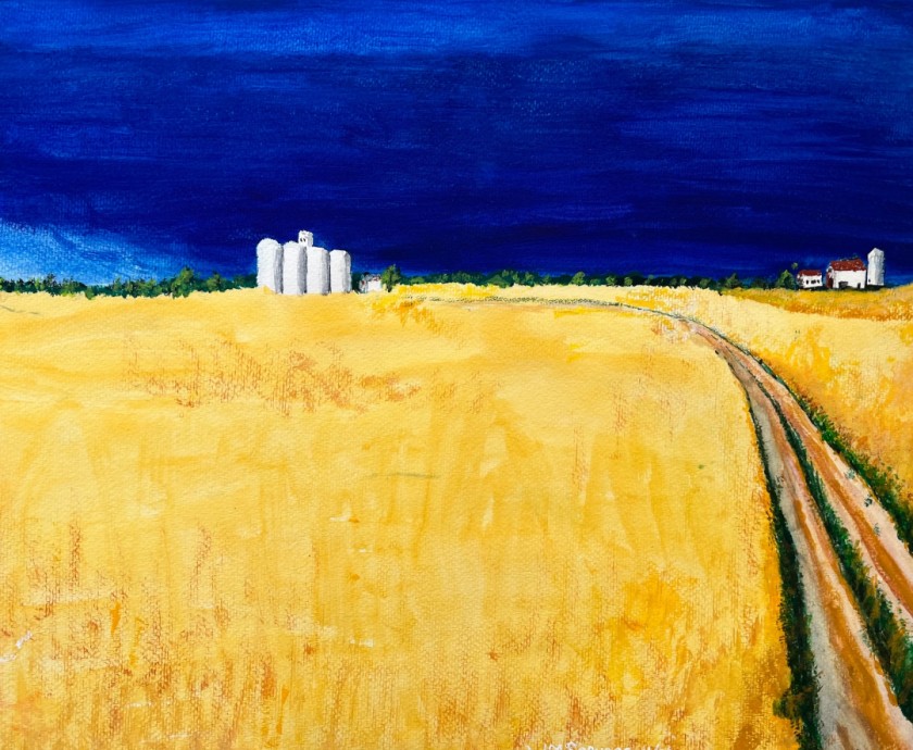 Storm clouds over wheat