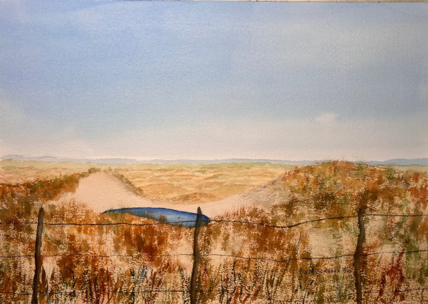 Kansas sand hills