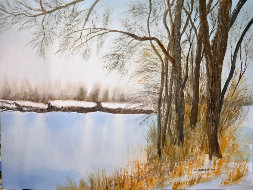 Winter pond