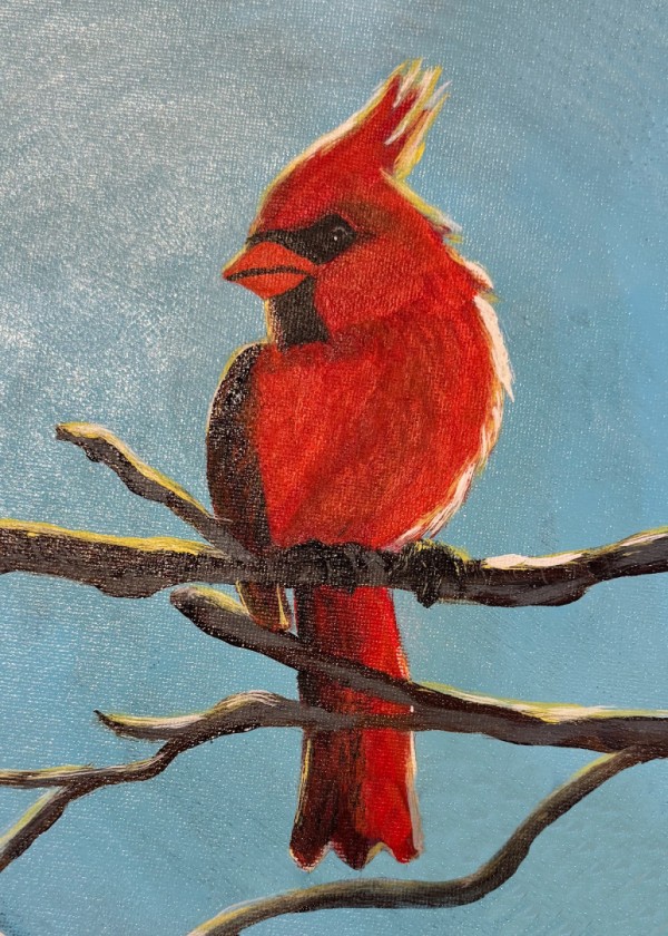 Cardinal 