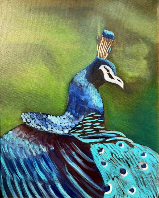 Peacock 