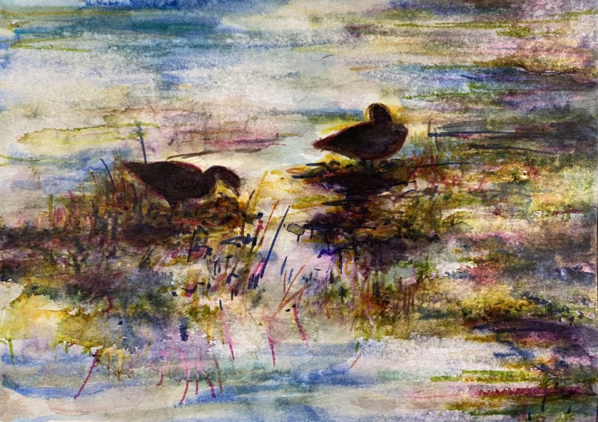 Summer Geese, Late Afternoon
