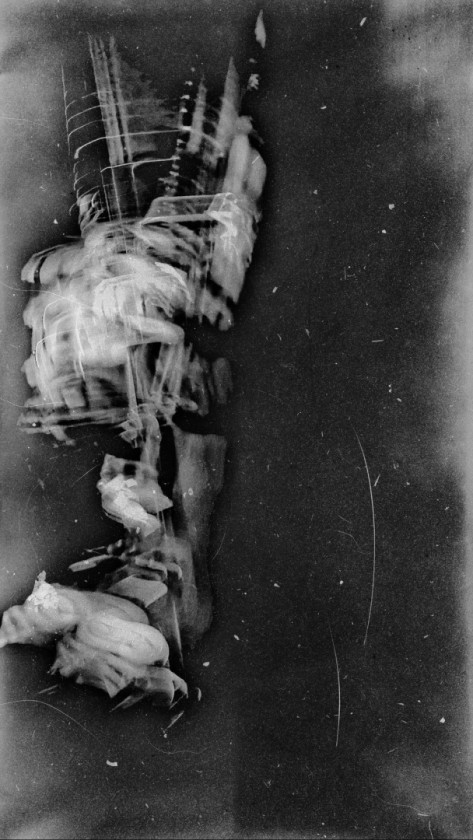 No Blind Spots In Leopards Eyes