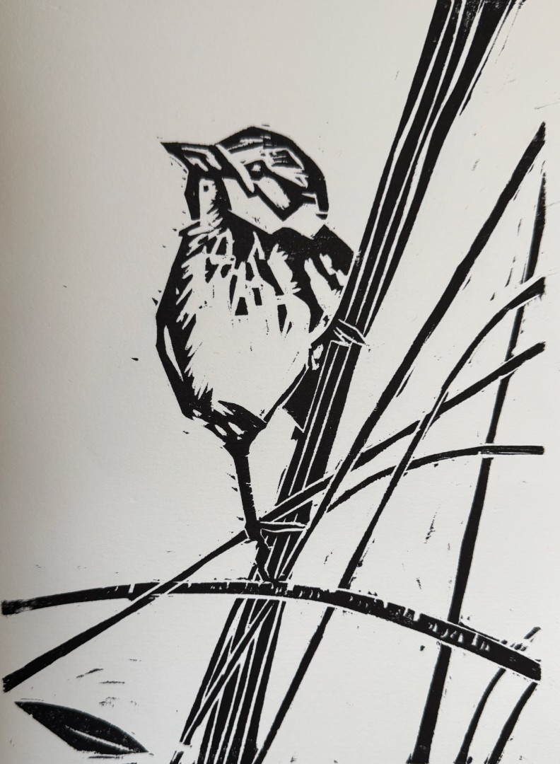 Spunky - Printmaking