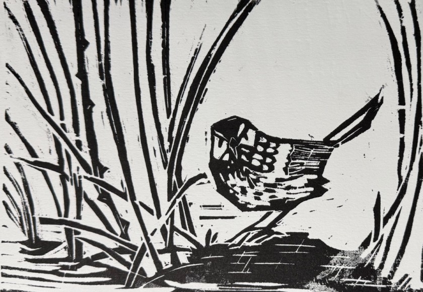 In the Reeds