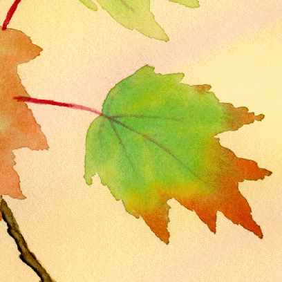 Autumn Leaves