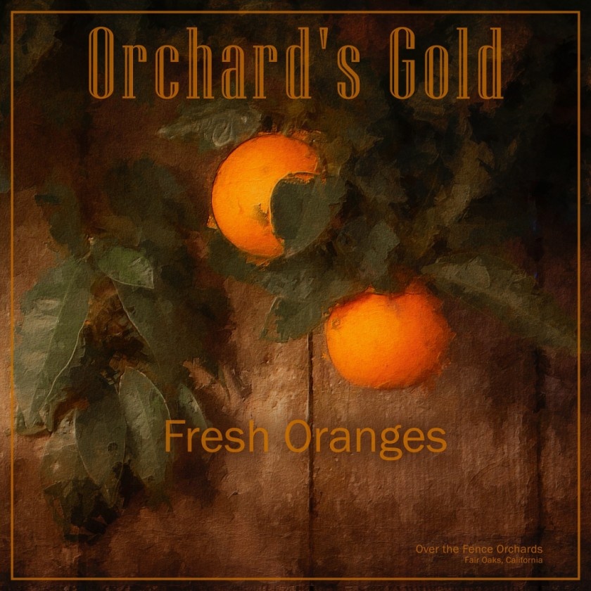 Orchard's Gold