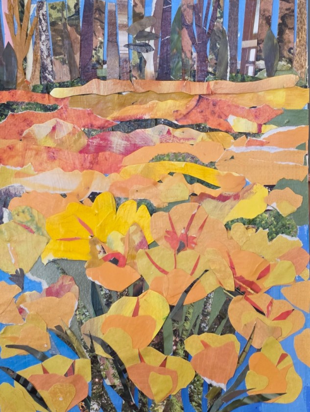 California Poppies
