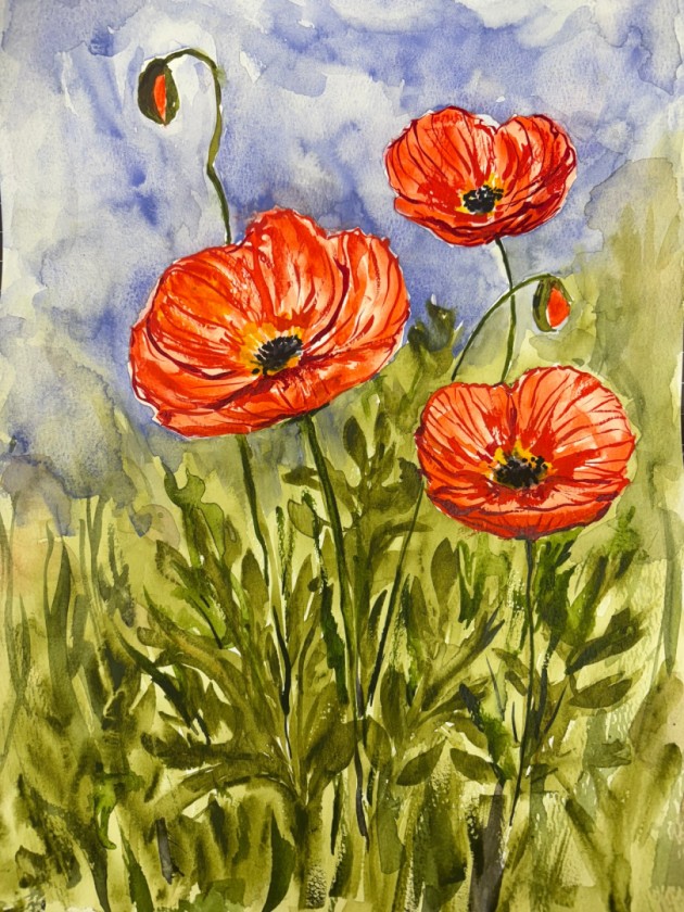 Poppies