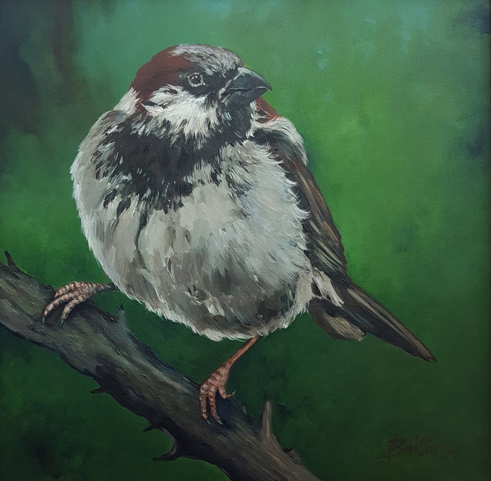 Male sparrow, Painting