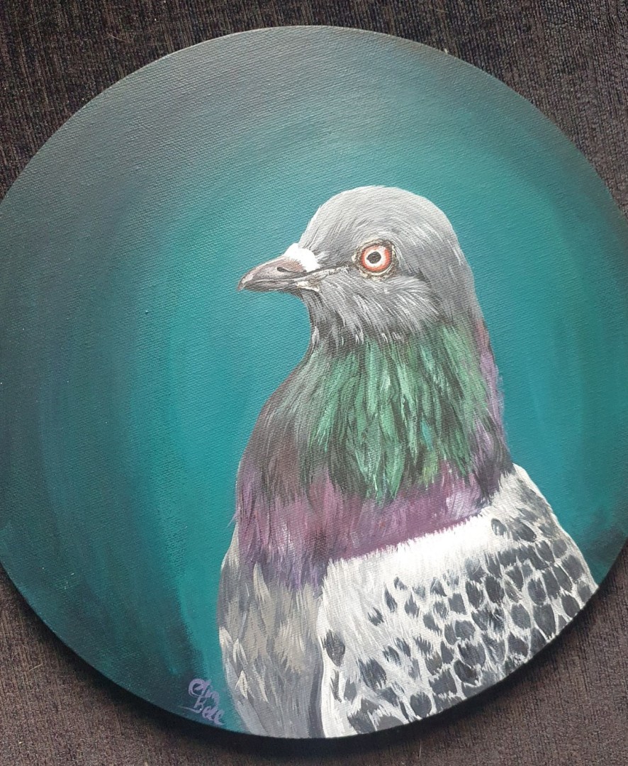 Dunn Square Pigeon, Painting