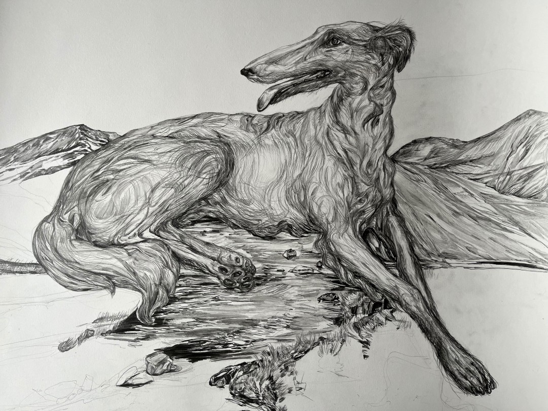 Lady of the mountains, Drawing