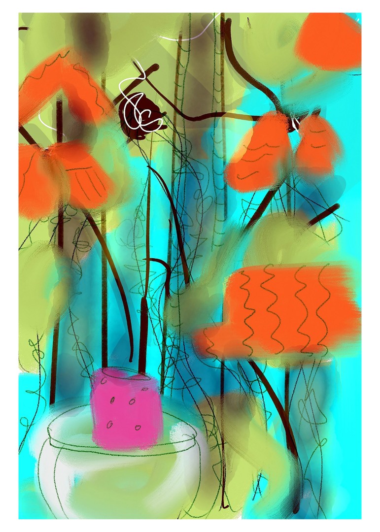 Star Bay, Print
