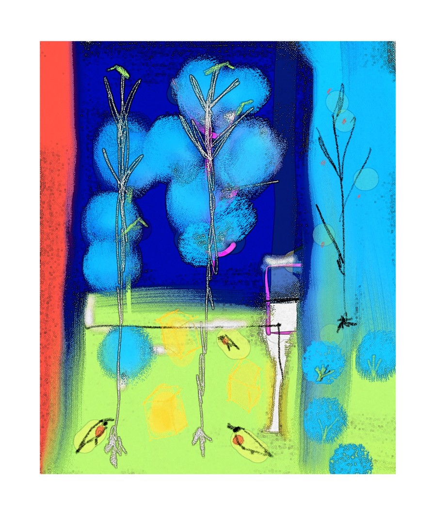Kingham Allotment, Print
