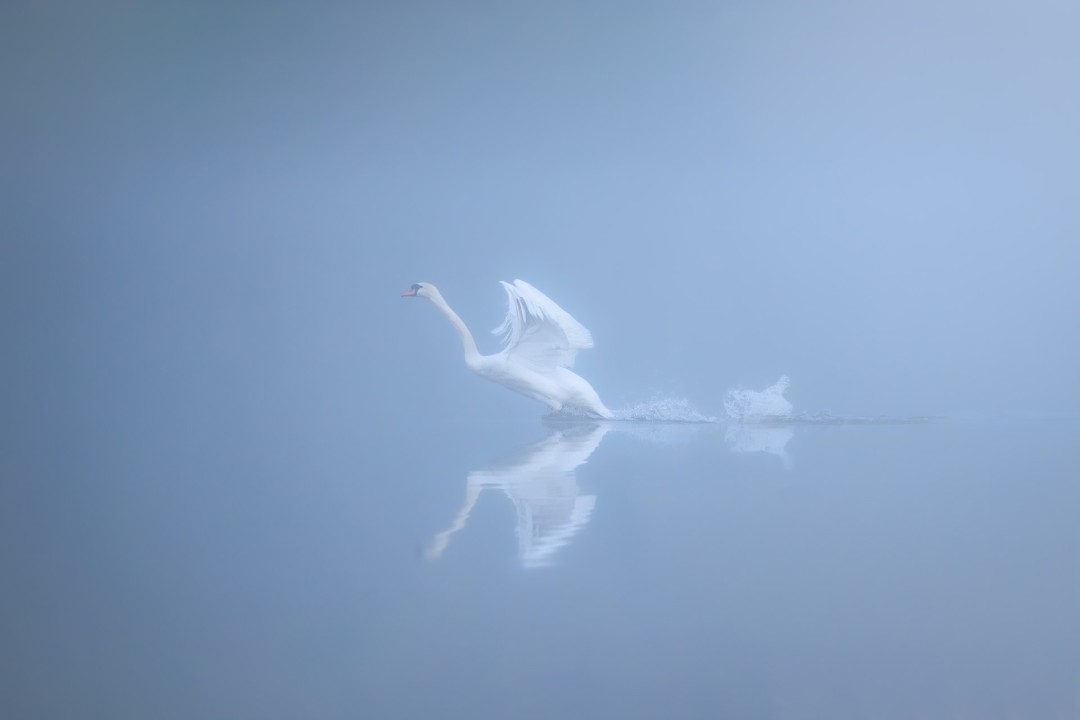 Unseen Grace, Photography