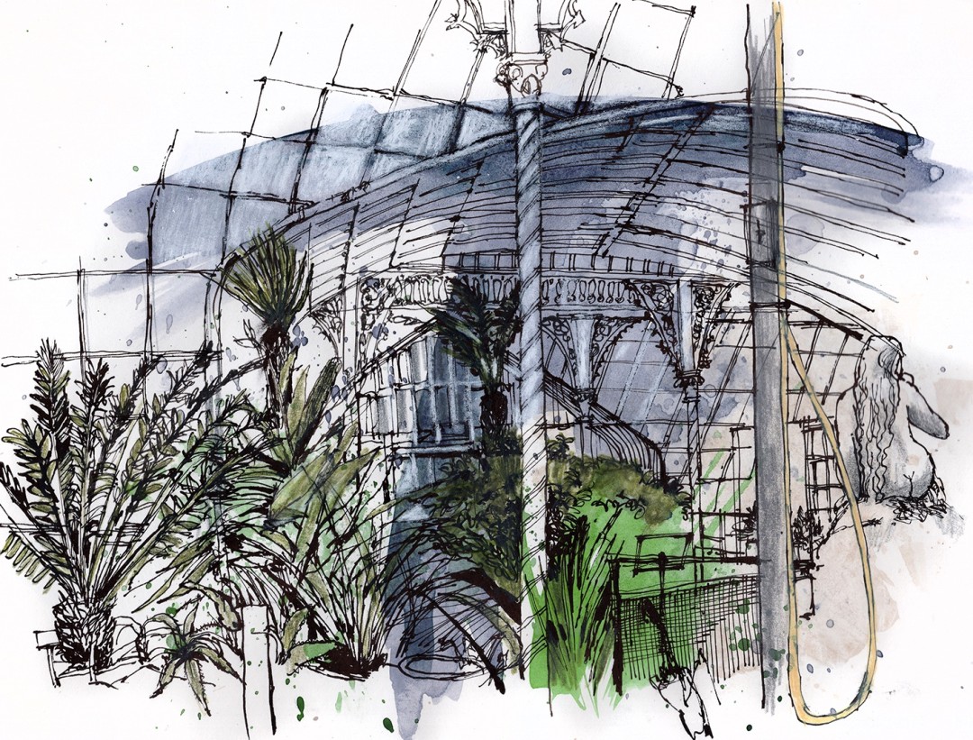 The Kibble Palace, Drawing