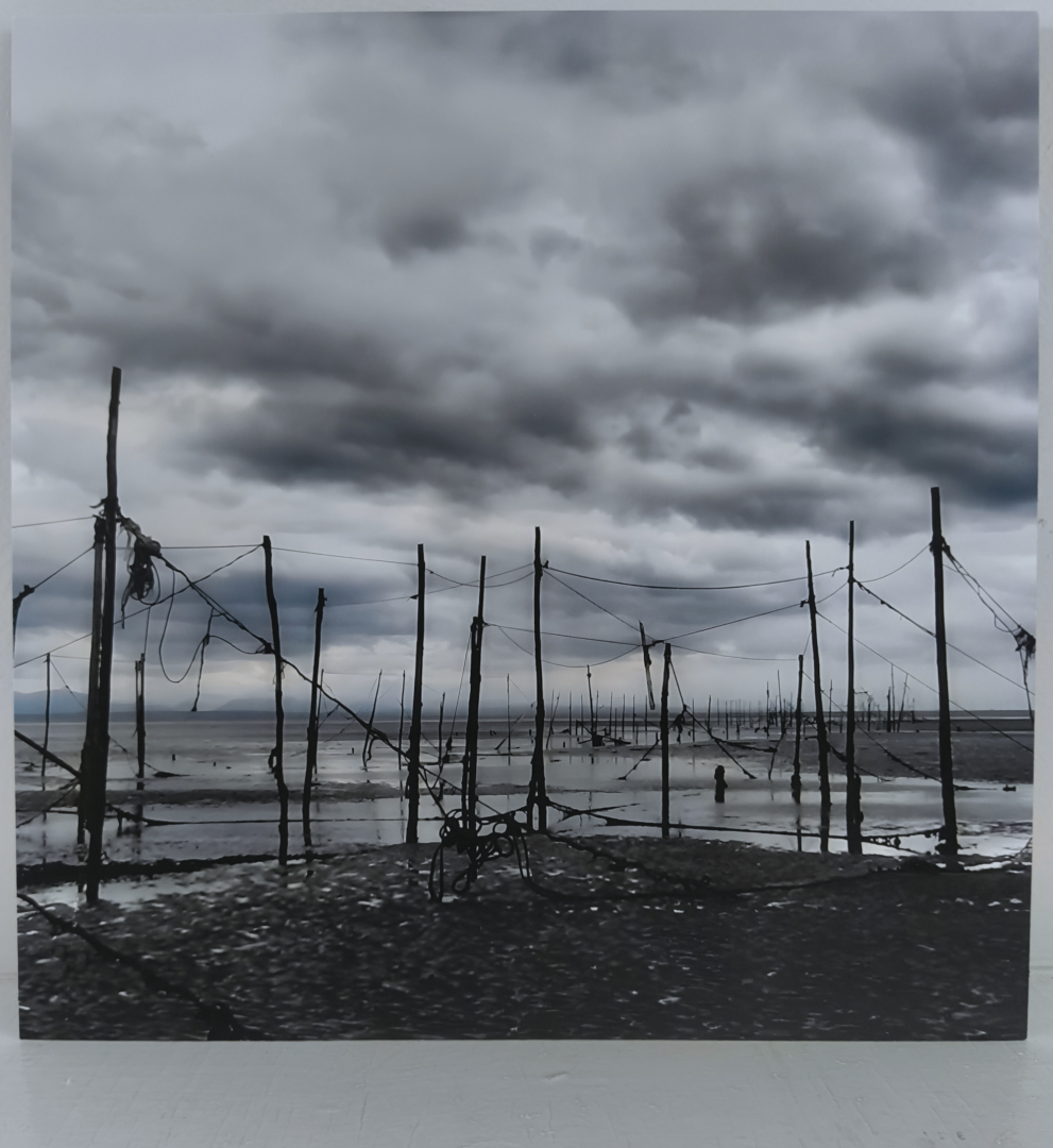 Still no.2 from &quot;Three Parables: The Crease&quot;, Print