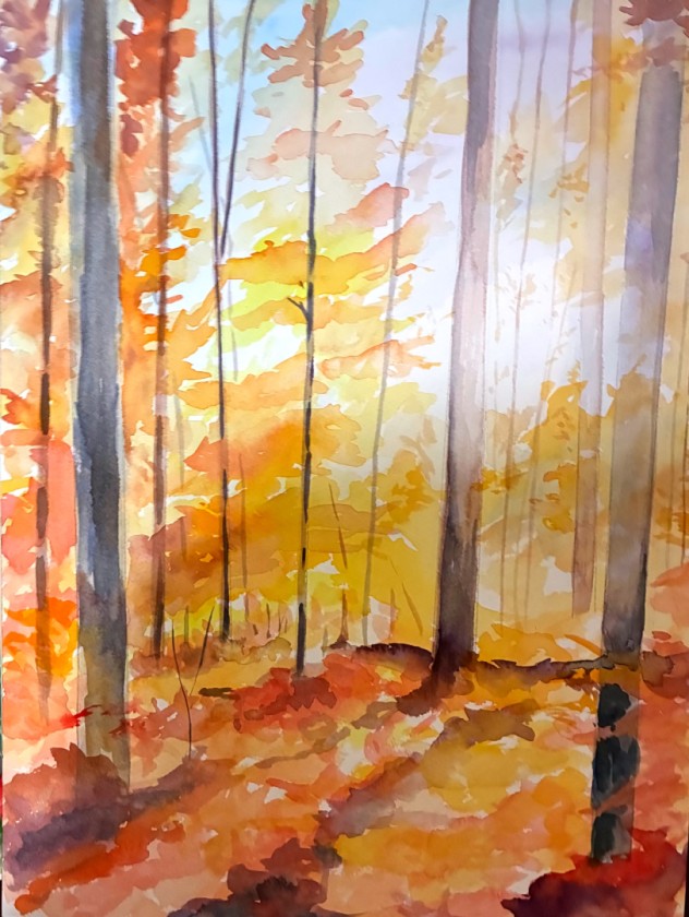 Fall Forest