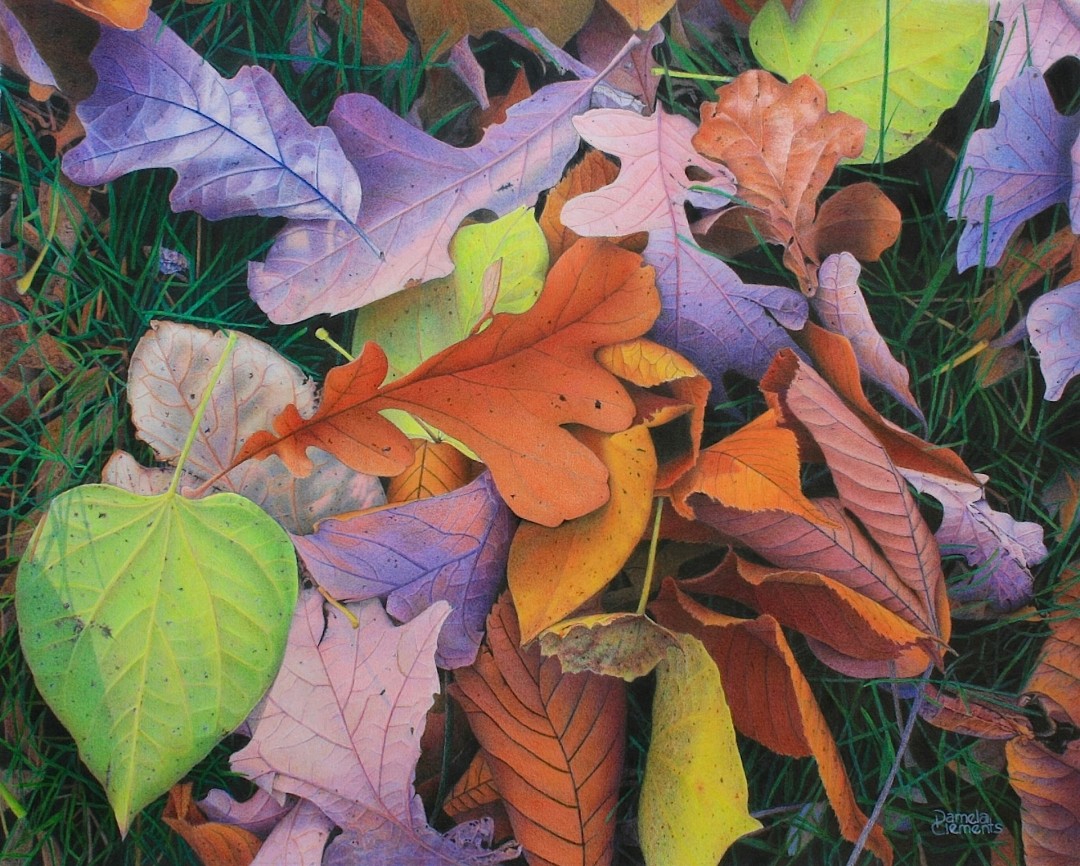 The Naturals - artwork by Pamela Clements:  