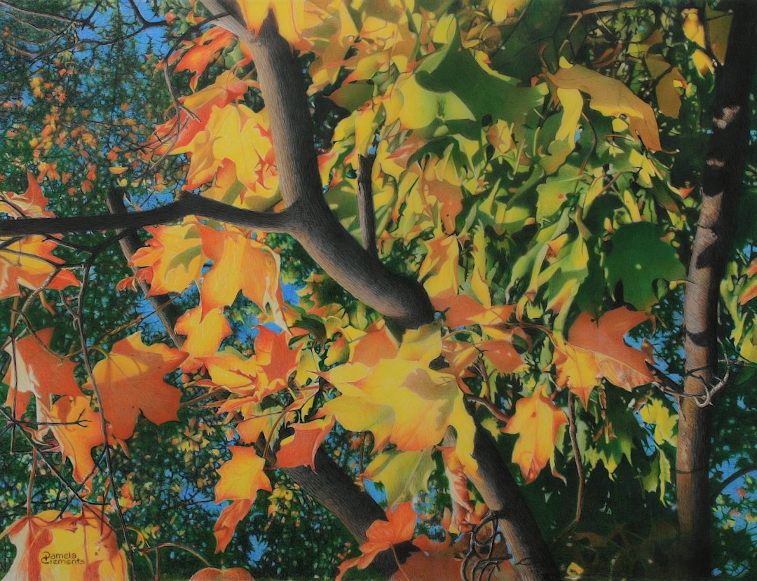Kaleidoscope - artwork by Pamela Clements:  