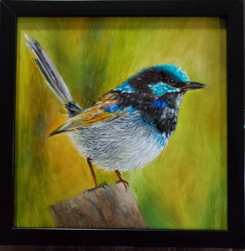 Blue Wren