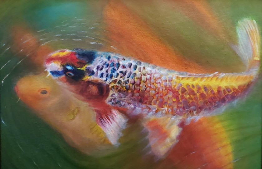 Koi