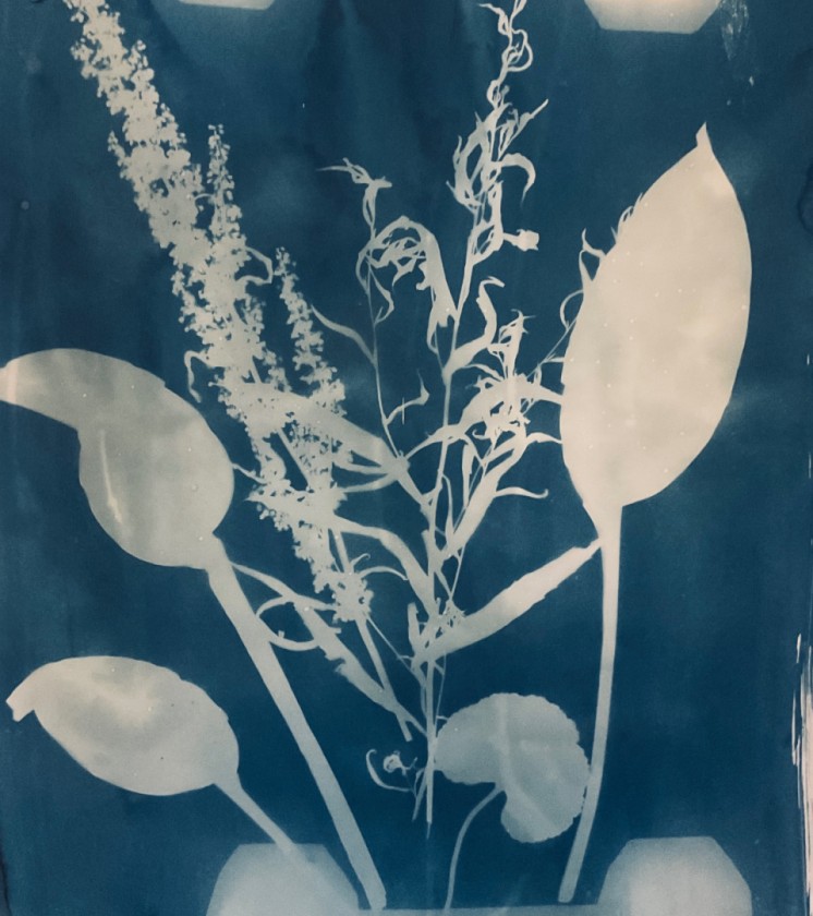 Emergence in Blue-Cyanotype