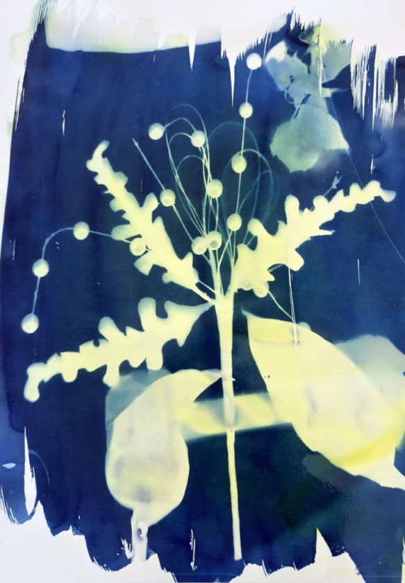 Constellation of Leaves