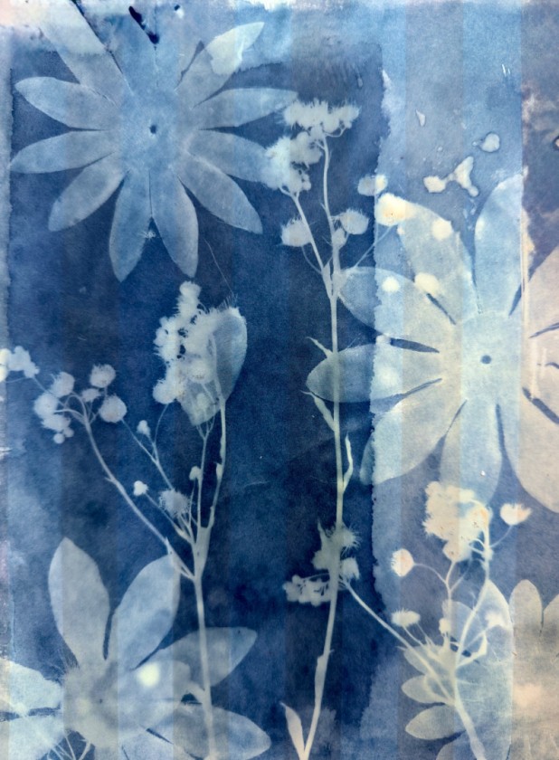 First Light- cyanotype