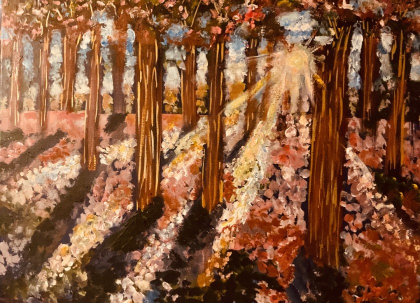 Where Light Breaks Through