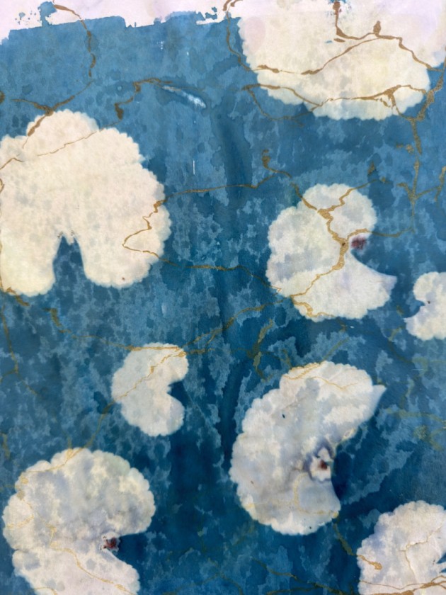 Blue Stillness- cyanotype