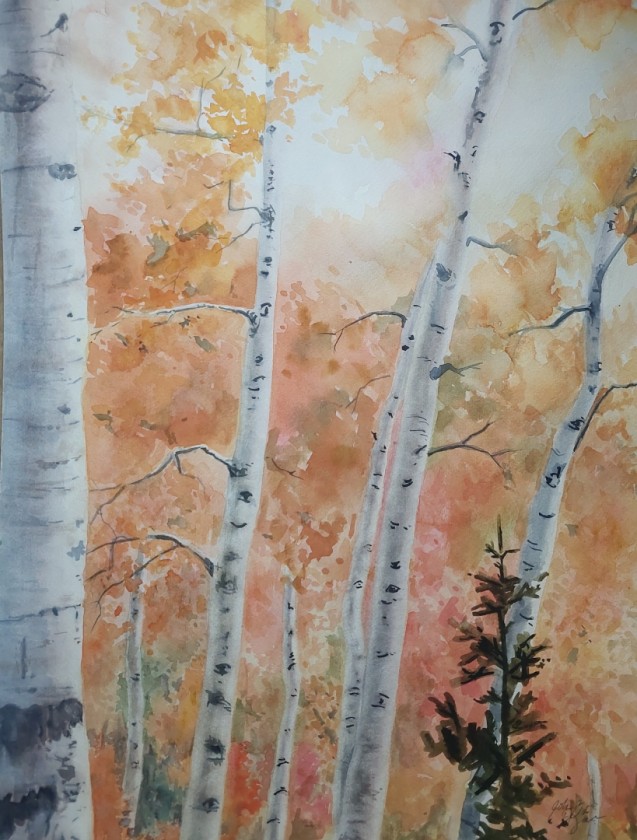 Albion Fall