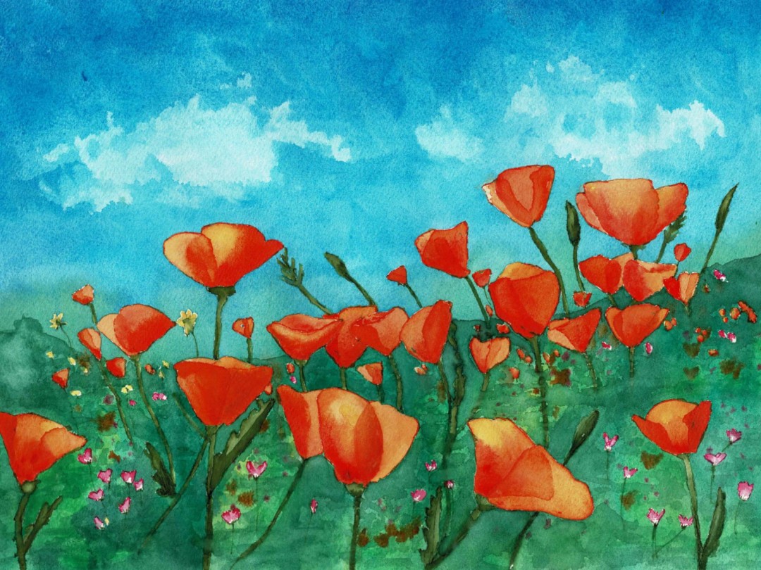 Cali Poppy - artwork by Janet Stormer:  Nature, Watercolor, Watercolor Paper